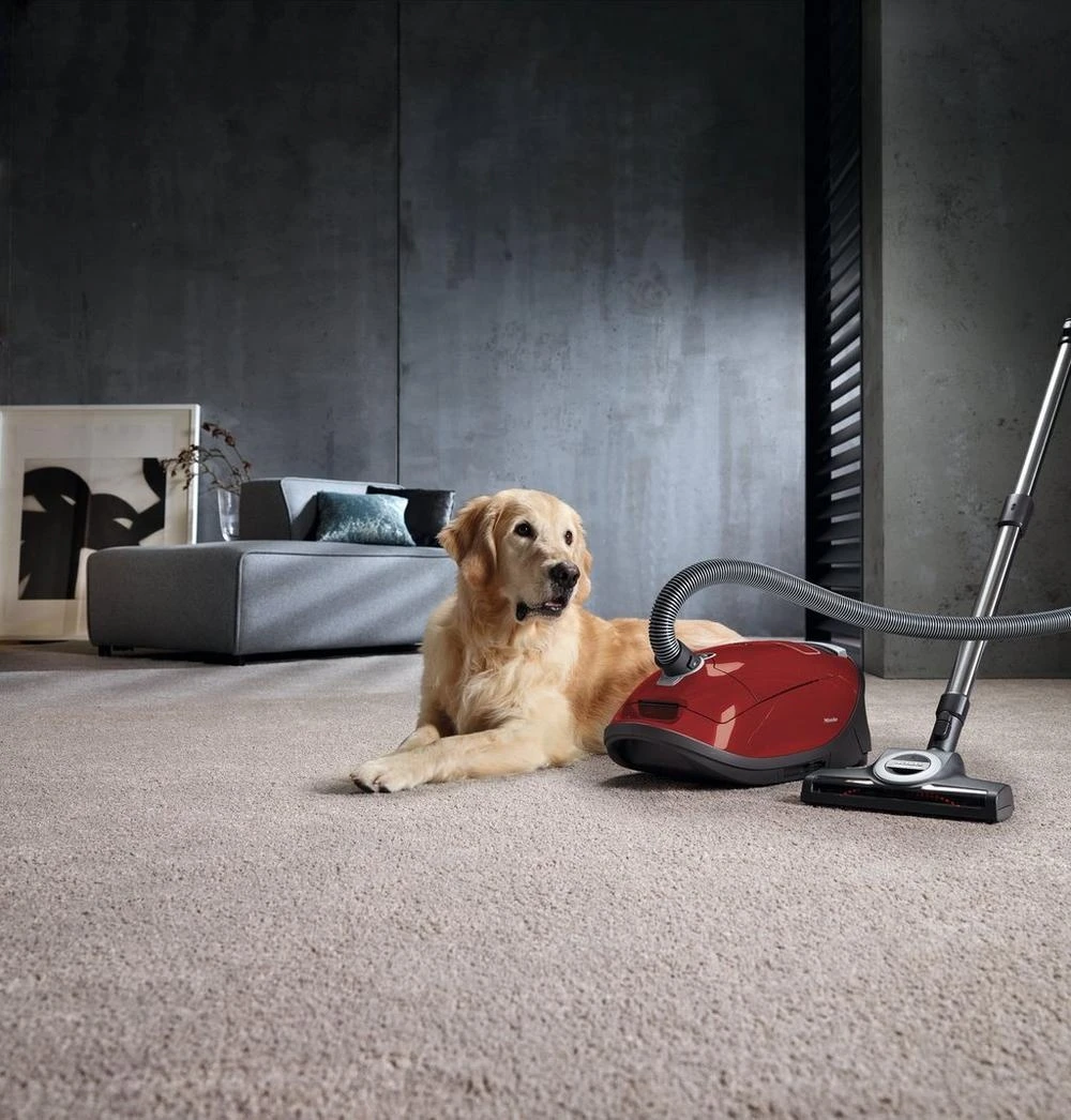 Miele C3Flex Cat & Dog Cylinder Vacuum Cleaner - Image 2